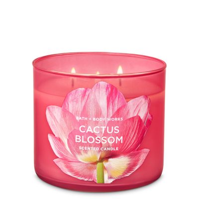 Vela Grande - Cactus Blossom