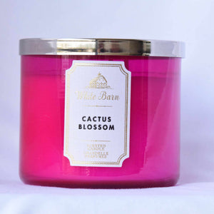 Vela Grande - Cactus Blossom-Bath and Body Works